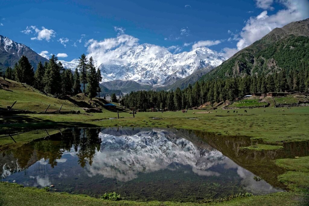 a-view-of-fairy-meadows-1024x683 ADVANTURE PLACES IN PAKISTAN